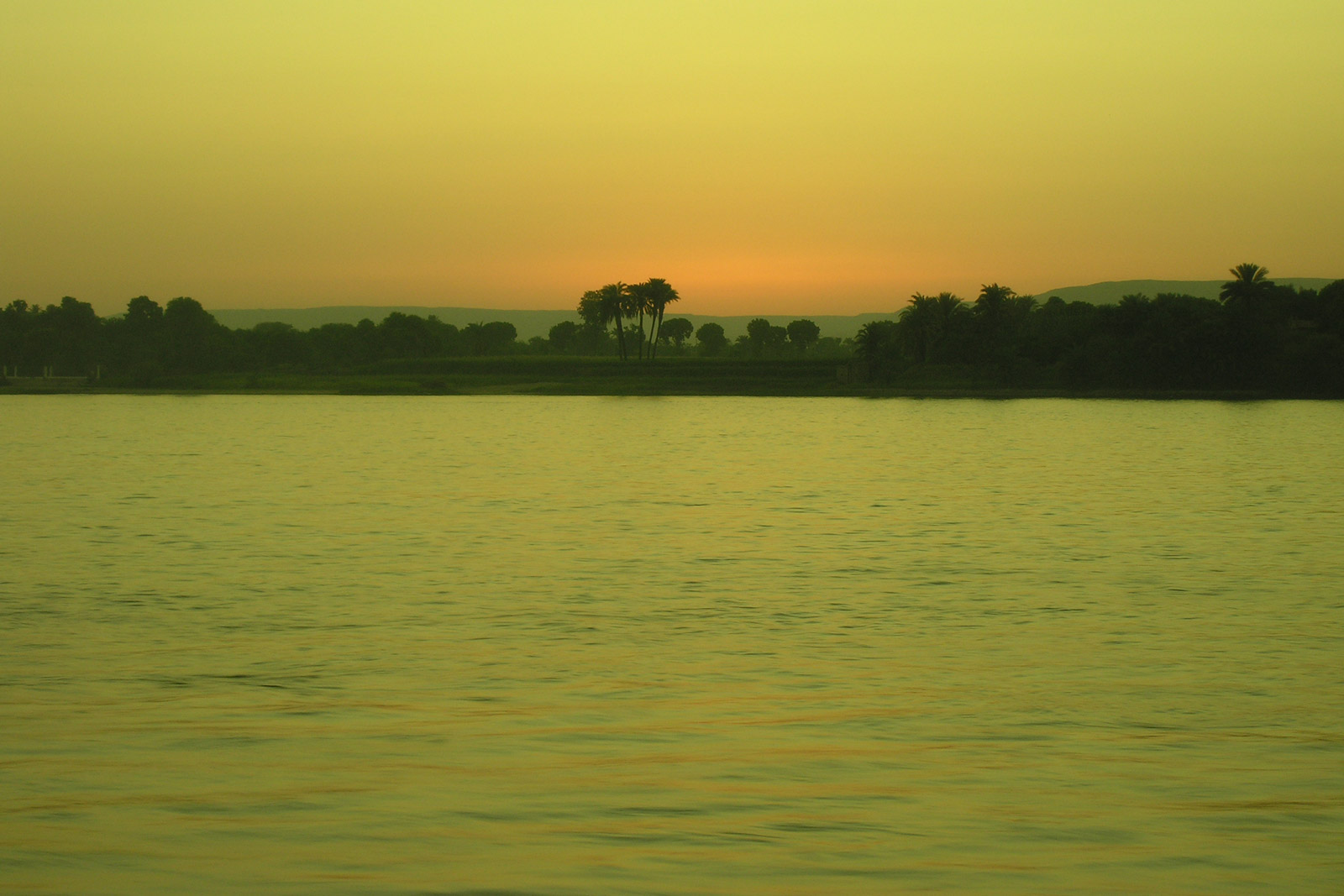 Bank of the Nile from the boat near to Luxor